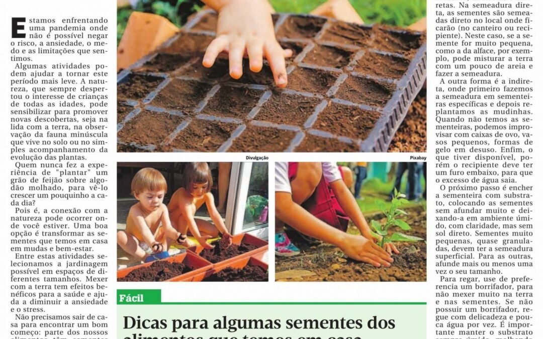 Plantar, plantar e plantar