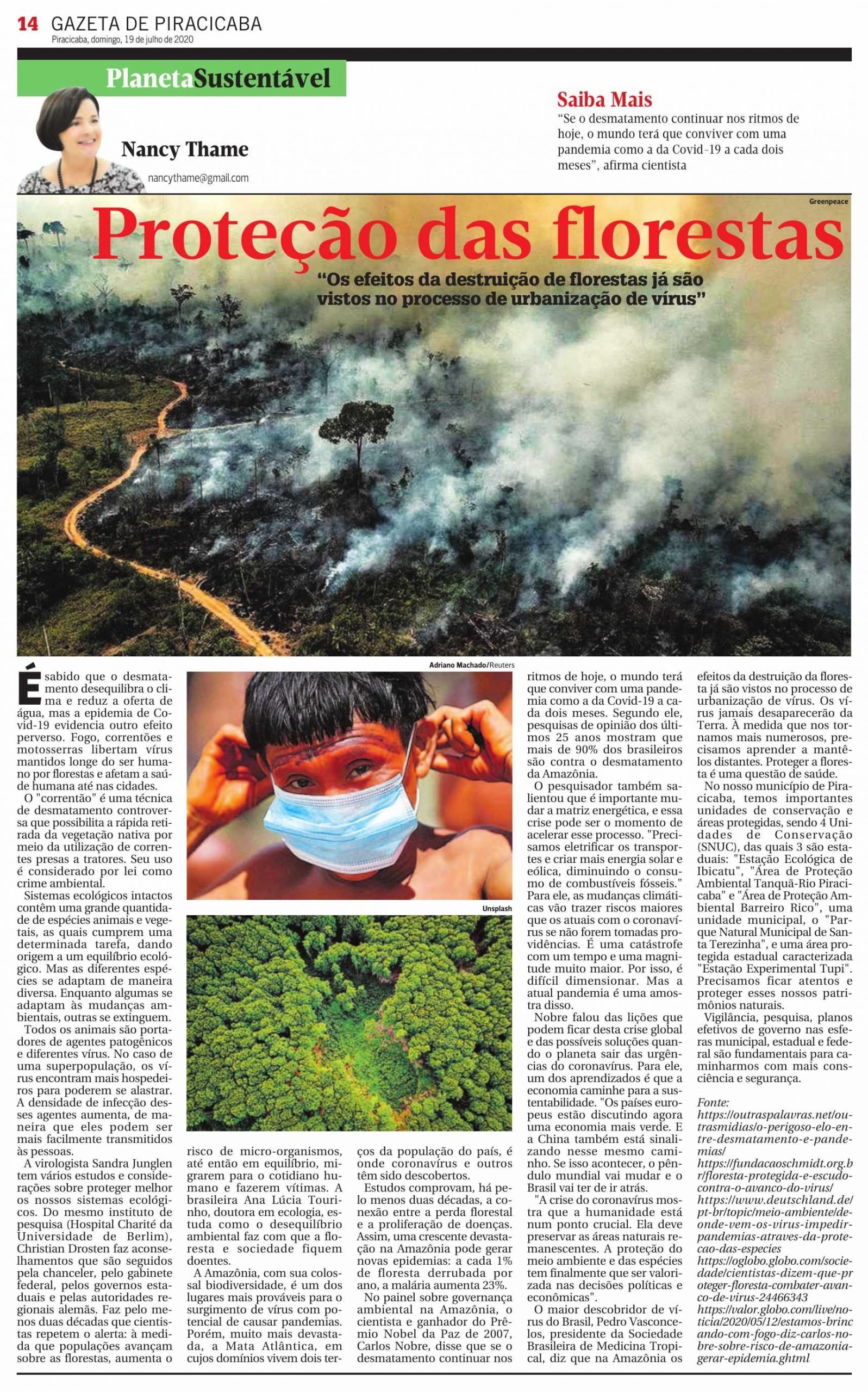 Coronavírus e proteção das florestas